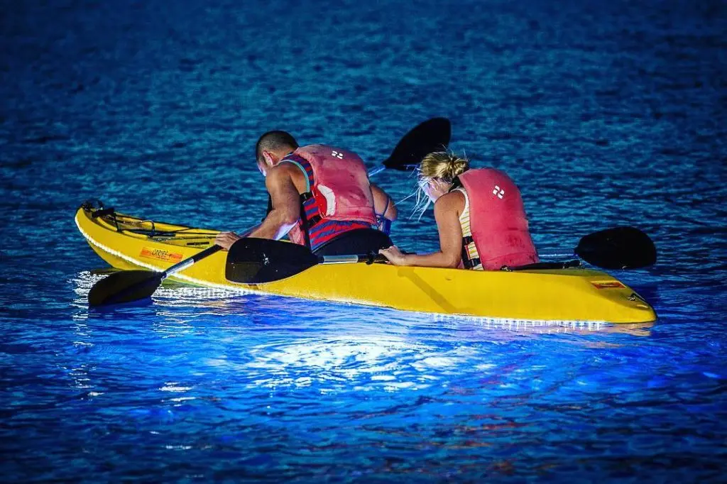 Bioluminescent waters during night kayaking